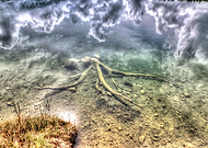 2023-05-20/1b1e7d62b4bab47f30d3430e37fc3247_0f4cd901e62d5dfce997e72c8107ebe2