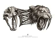 2023-05-20/d417930ff166138af448bd28ac6d634e_e5257eccb8641323e9009a7fe5fb6457