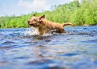 2023-05-22/79f1f8f070559b28a3cc7df5e96036af_6acb9b00da1b291bd998a3f569ff65f6