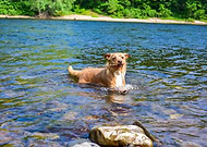 2023-05-22/8cf405fc87ec945fb21bd83c39a2a4d6_ca11c5c7f17c4d65a63533a146042ab1