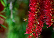 2023-05-25/54ded43951edf7bf6cb3edc60a18c23d_059a0147d8be3c1b2f990c2fb85b9af4