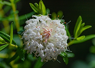 2023-05-25/66cf6c1feaa6f71e04009af40a405486_f834c0fa3b4961f8ea840279da46cdd6