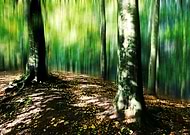 2023-05-29/c1ec4576025ba9674e63c5c73790f4e4_3365ae775bd4af8e6266043d6ec6e80a