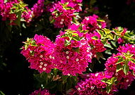 2023-06-02/d30d2213c5118bfd25fd6b58e87fc97c_5b69da201633ba3e5314c7507fe894af