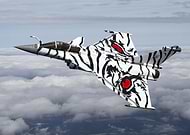 2023-06-06/15a6be637faf0efebbc15d4da8121262_0edfa36c284b5f9d2bd458ce64d455f4