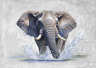 2023-06-08/8e1bfd2c9d4c1e6d82629426111db777_5478e19c4c7a55e6a58f72ea13a08590