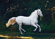 2023-06-09/d116b7ba7ef7c8e1d4eb911e7ce42888_b0b83af27bc4bc6672670ea88619cbf1