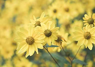 2023-06-12/20728338b92b20c3a2a13da982ffffc7_8b8f5599f9c5bf71061818f077f345ea