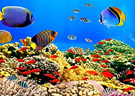 2023-06-12/a076b413397c2e1fb41bcc5448603ec3_97e26b17a08a4b083d803605f1f734ff