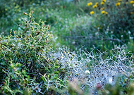 2023-06-13/6ad562694c130cfd87399d72c530d447_b377a2aadc9f4cef5070362f823375ad