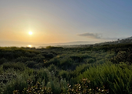 2023-06-14/e9b14dedb8d6dcd4df02a414f5a32254_ab0beaa12fe4e8927ff2face5725edaa