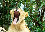 2023-06-15/3a6f8e0d02de965a10c5479bd5b27cbc_5fc98b28f52ec04c4bee8bc0ea1726bb