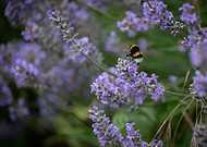 2023-06-23/65271b2ef1d66fa06905ecfc873805bf_aef3e90297f6ef4b2a6acda8091e939e