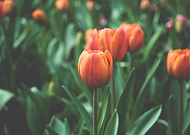 2023-06-23/f9d2c689575d03e7a82076516168b8c7_d4244b3e96aceb915169b1cd0d712984