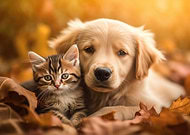 2023-07-01/64225b5814a0f3962ddf23b447a4dea7_340a16856955e56ef5b4957d7902c2b3