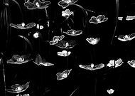 2023-07-18/79b64580f7f7a169777a6a37f9a846f6_02d26f0a144f8b03b7b012b1b51bbbda