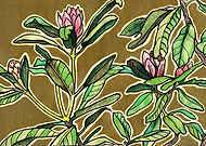 2023-08-05/f0207318a89339a55ad8feee87a4852d_f1d70f836e264760666b9c0dff574450