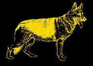 2023-08-11/a890c7cbe35727ca2b3ccdf9c745cd23_5f4dcefac05006718689da98c1c22fa2