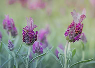 2023-08-16/7149eec917ab453bafdfaa5e4addb78b_2d396a90cea825b091d516ddac1791e3