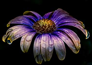 2023-08-16/7159ae6ceaf383a06a040284c380d136_f58f9e87ae319e2721b29a945df22bb9