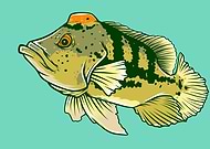 2023-08-17/bd6a2d0a92441f53167239e8caf2630e_185a274c31326898983be604bda266d1