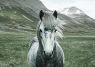 2023-08-23/5d0a859f193746da82f7dc8a6d488fdd_09f6c7310e331f4133436fc9c21f0b66