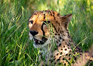 2023-08-28/fb528decbc6401e9d1b4b326e276aeae_d4a9a4df6a900c5e5f3ba6f1eea141e7