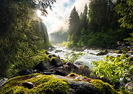 collection-preview-2