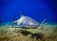 2023-09-01/9045ae478eb2a68ba07c9829b98247b0_5d1ca9981007987d87962aa731650630