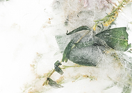 2023-09-02/6e98cab139901e3902b0c7f6090e956a_eca41f162ee272228dfcffc7fb31dc16