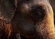 2023-09-03/06672fbb0da3367c51ef4056355b7a21_fda0101ced7ee577b4cd19a5096a7dec