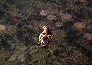 2023-09-03/1b8883d6bae1517fa9819680bb423eaf_1ed1b4a1cd7c4e83fdb3e70fa61cbd45