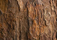 2023-09-05/eb1d73cf7e1b9300d6bbd92dacc15d17_0fb9a1f2020a7787fb9cfe9f550d55af