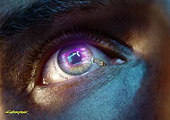 collection-preview-1