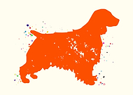 2023-09-06/5096d42a89c29027ba8e610e89a1fd44_5cf3e875951129507cdb61bb7880cdaa