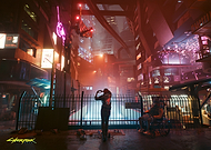 collection-preview-3