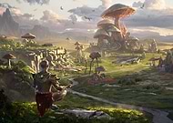 collection-preview-3