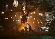 collection-preview-2