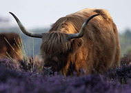 2023-09-08/73cb4d48f5275dd63a6c9c87d4c8660a_4edad2c0d9cbd615581b2105d2594f3b