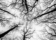 2023-09-10/2097586d864bec133010974c5c7dfe92_1ad4699eecd7dde13c286fab765f17bc