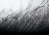 2023-09-10/556c3189a7c7a0a5080f5b2fea822346_10431cbcc55e85f57f6c3d4f548dd48d