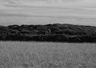 2023-09-29/e9e67c14d6c1948ba723b8149b59a0ee_110e77190fedb6e9b35faa64b92aed1b