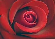 2023-09-30/ba3bed1107a4d316b0af76dd8be5a697_4a247d9399431368d12b35f153db191b