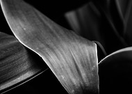 2023-10-06/c72cef84256c115804dceb2a488893c3_057143b5ce264e53f352d6db2708d37e