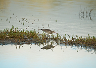 2023-10-09/119406807687f75553fb45ad22829003_5a7607a63b301def1461ebc43fe13f88