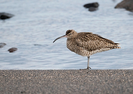 2023-10-09/c8ac1cff88ce3c7bac9e47c5622de9c6_10cfb2d7863294fee6027c079ff609b3