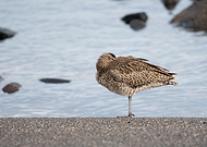 2023-10-09/e801d70d068c33f00b6fcb6332b9b61e_1d5268cef770af6ee487470daf4066c6