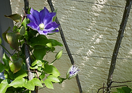 2023-10-12/312d39213a5ac0b12a471c23fc72d580_108961e7ebb3fade6adf57aa617996eb