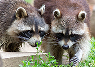 2023-10-14/80ca2bac6ec0745881c1eb4892639e04_f91bd2c5e1b3ee001d72aed3ae25fd59