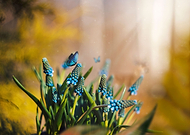 2023-10-18/320fc005f4c97f79e152607a4caeb892_b42062daf89fccae74c08e441f99f92d